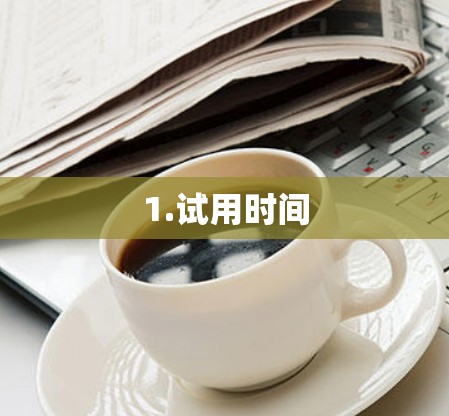1.试用时间