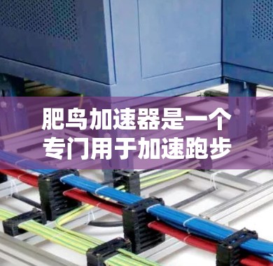 肥鸟加速器是一个专门用于加速跑步和游泳的训练工具，旨在帮助用户更快地达到训练目标。关于它的免费版本，建议从以下方面进行了解