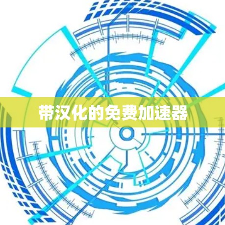 带汉化的免费加速器