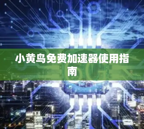 小黄鸟免费加速器使用指南