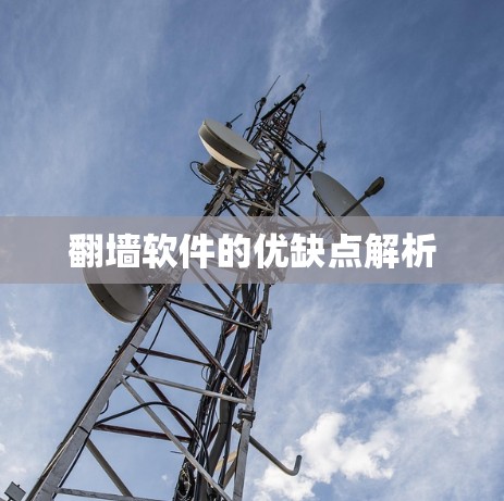 翻墙软件的优缺点解析