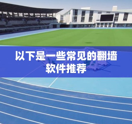 以下是一些常见的翻墙软件推荐