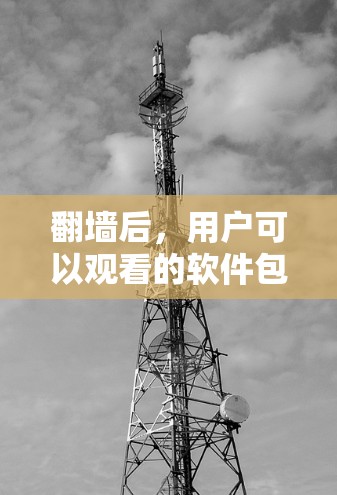 翻墙后，用户可以观看的软件包括
