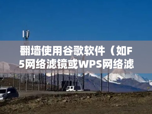 翻墙使用谷歌软件(如F5网络滤镜或WPS网络滤镜)的方法如下 翻墙使用谷歌软件(如F5网络滤镜或WPS网络滤镜)的方法如下
