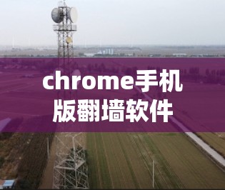 chrome手机版翻墙软件 chrome手机版翻墙软件