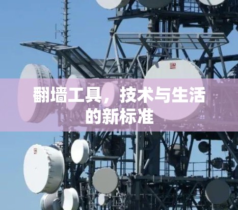 翻墙工具，技术与生活的新标准