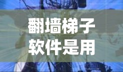翻墙梯子软件是用于绕过网络过滤和防火墙的工具，旨在访问不同地理位置的互联网。以下是对该主题的详细总结