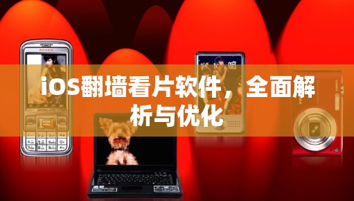 iOS翻墙看片软件，全面解析与优化