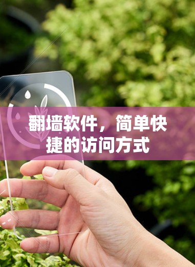 翻墙软件，简单快捷的访问方式