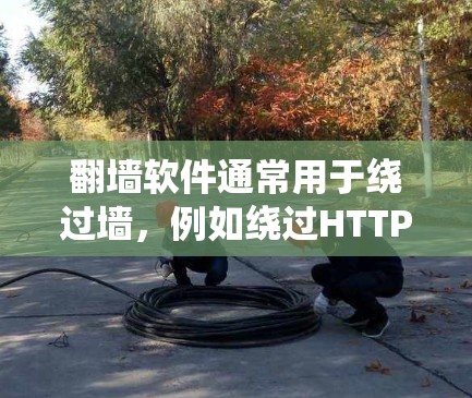 翻墙软件通常用于绕过墙，例如绕过HTTPS加密，通常在网页中找到一些工具或网站。如果您指的是在苹果设备（iOS系统）上使用绕过墙的软件，可以考虑以下几种常用的方法
