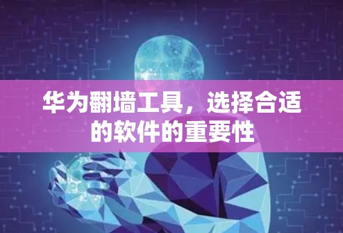 华为翻墙工具，选择合适的软件的重要性