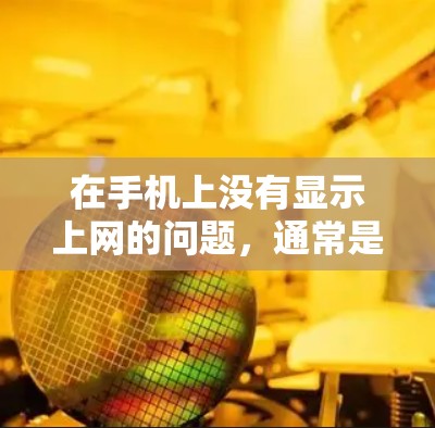在手机上没有显示上网的问题，通常是因为翻墙软件未能将手机上的网络流量正确映射到云端。以下是逐步的解决方案建议