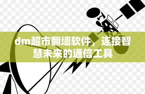 dm超市翻墙软件，连接智慧未来的通信工具
