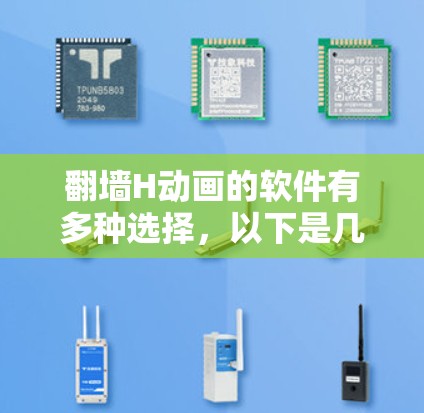 翻墙H动画的软件有多种选择，以下是几种常见的推荐