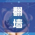翻墙后下载软件是一个常见的需求，尤其是在需要隐私保护的情况下。以下是一些建议和步骤，帮助您在翻墙后下载软件并保护隐私
