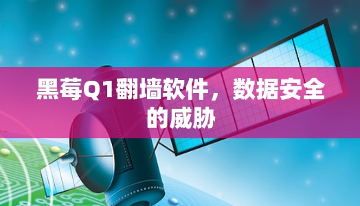 黑莓Q1翻墙软件，数据安全的威胁