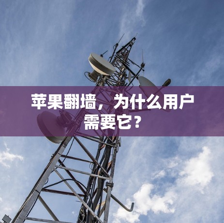 苹果翻墙，为什么用户需要它？