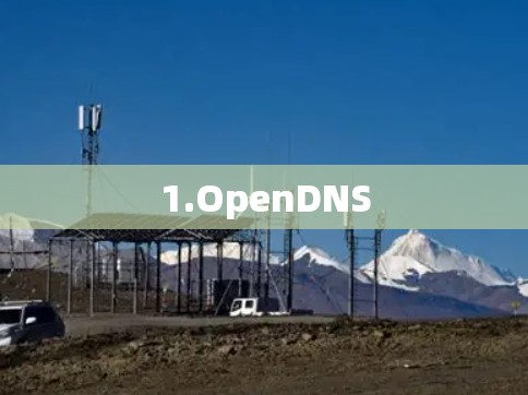 1.OpenDNS