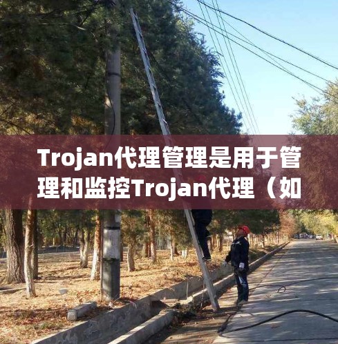 Trojan代理管理是用于管理和监控Trojan代理（如WebAttak,AdBlock Plus等）的工具。以下是一些常见的Trojan代理管理方法和工具，适合Chrome和Firefox用户