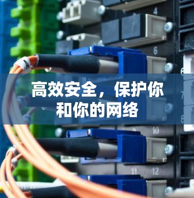 高效安全，保护你和你的网络