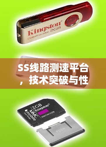 SS线路测速平台，技术突破与性能优化