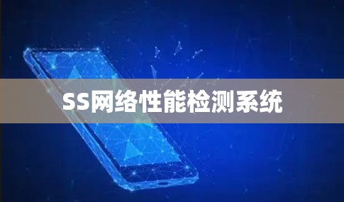 SS网络性能检测系统