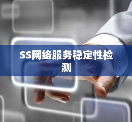 SS网络服务稳定性检测