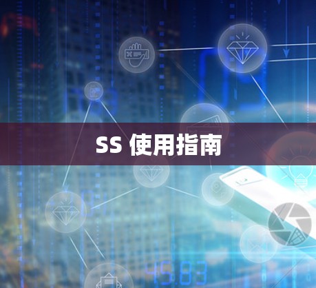 SS 使用指南