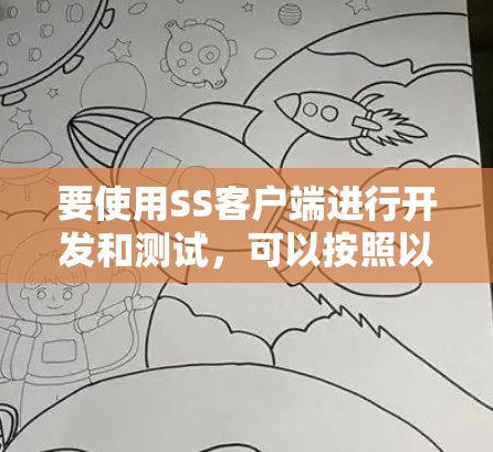 要使用SS客户端进行开发和测试，可以按照以下步骤进行