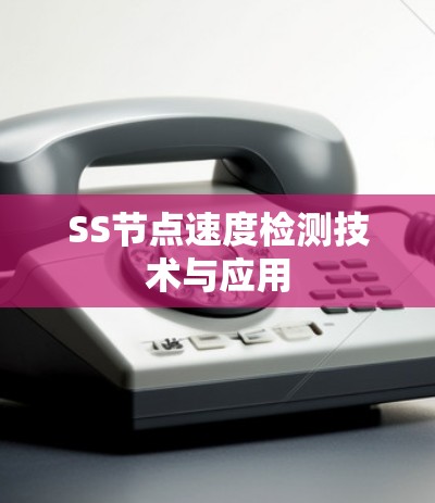 SS节点速度检测技术与应用
