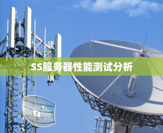 SS服务器性能测试分析