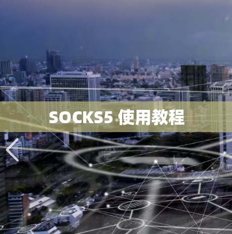 SOCKS5 使用教程
