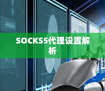SOCKS5代理设置解析