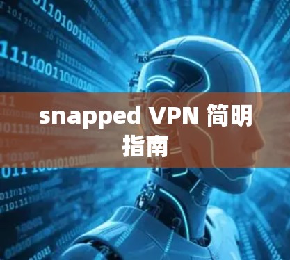 snapped VPN 简明指南