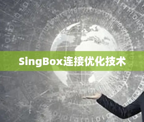SingBox连接优化技术