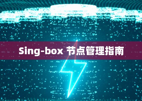 Sing-box 节点管理指南