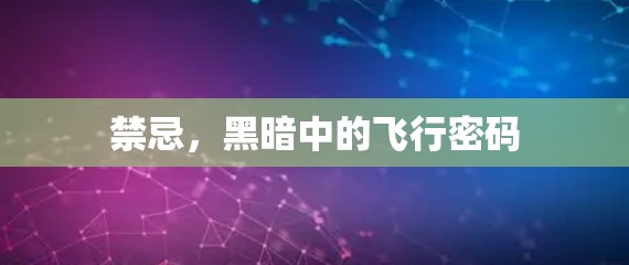 禁忌，黑暗中的飞行密码