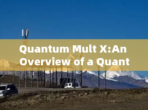 Quantum Mult X:An Overview of a Quantum Computing Client Quantum Mult X:An Overview of a Quantum Computing Client