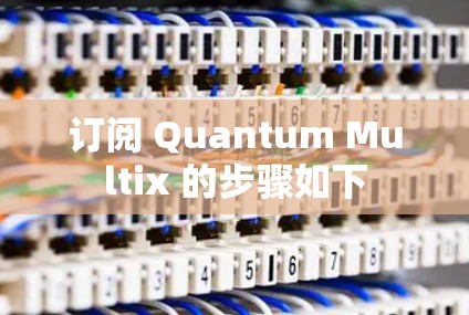 订阅 Quantum Multix 的步骤如下