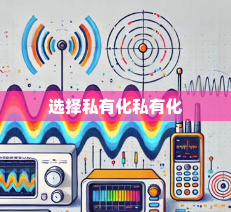 选择私有化私有化