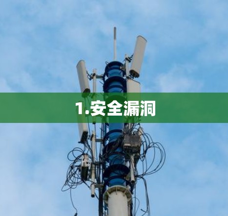 1.安全漏洞