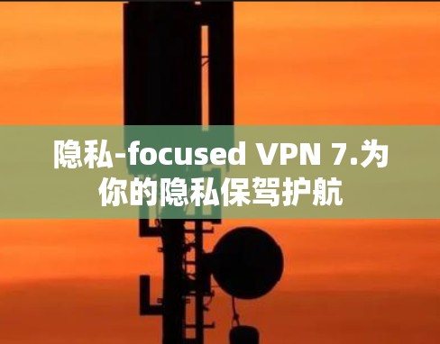 隐私-focused VPN 7.为你的隐私保驾护航