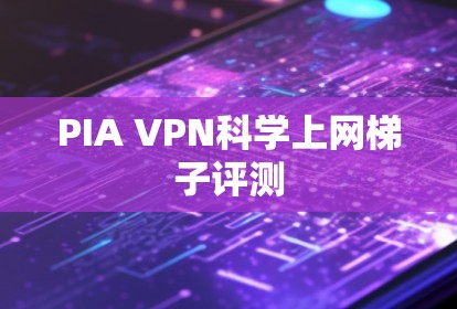 PIA VPN科学上网梯子评测
