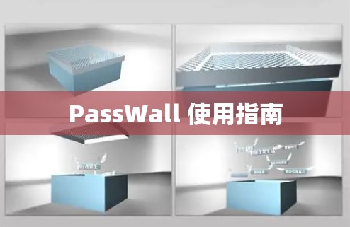 PassWall 使用指南