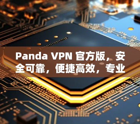 Panda VPN 官方版，安全可靠，便捷高效，专业级VPN解决方案