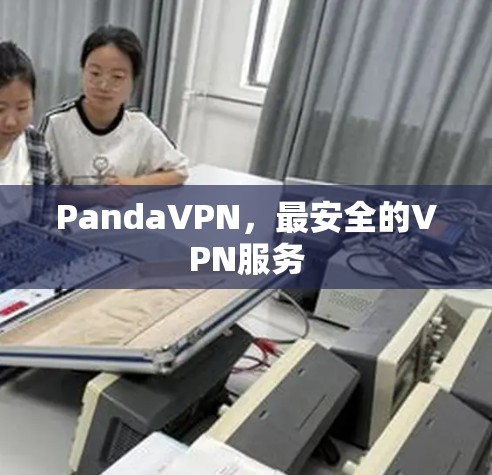 PandaVPN，最安全的VPN服务