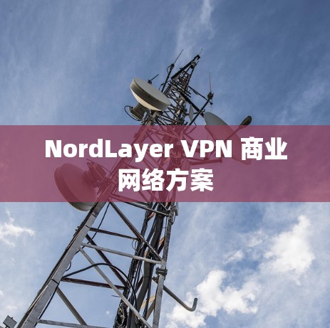 NordLayer VPN 商业网络方案
