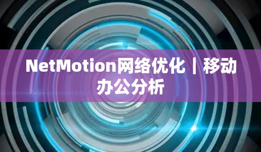 NetMotion网络优化｜移动办公分析