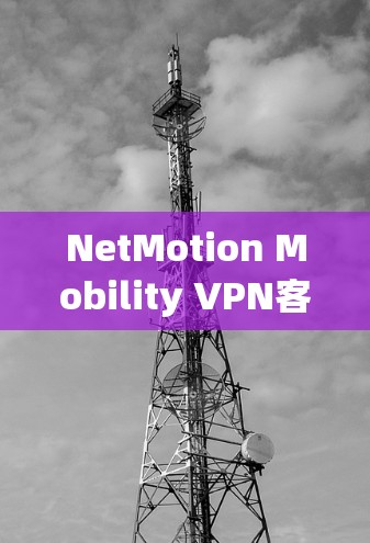 NetMotion Mobility VPN客户端配置方法