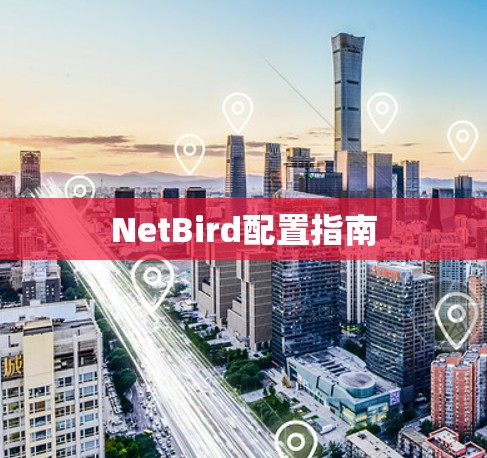 NetBird配置指南